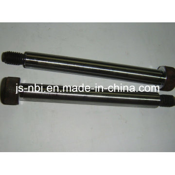 Costom Precision Long Shaft